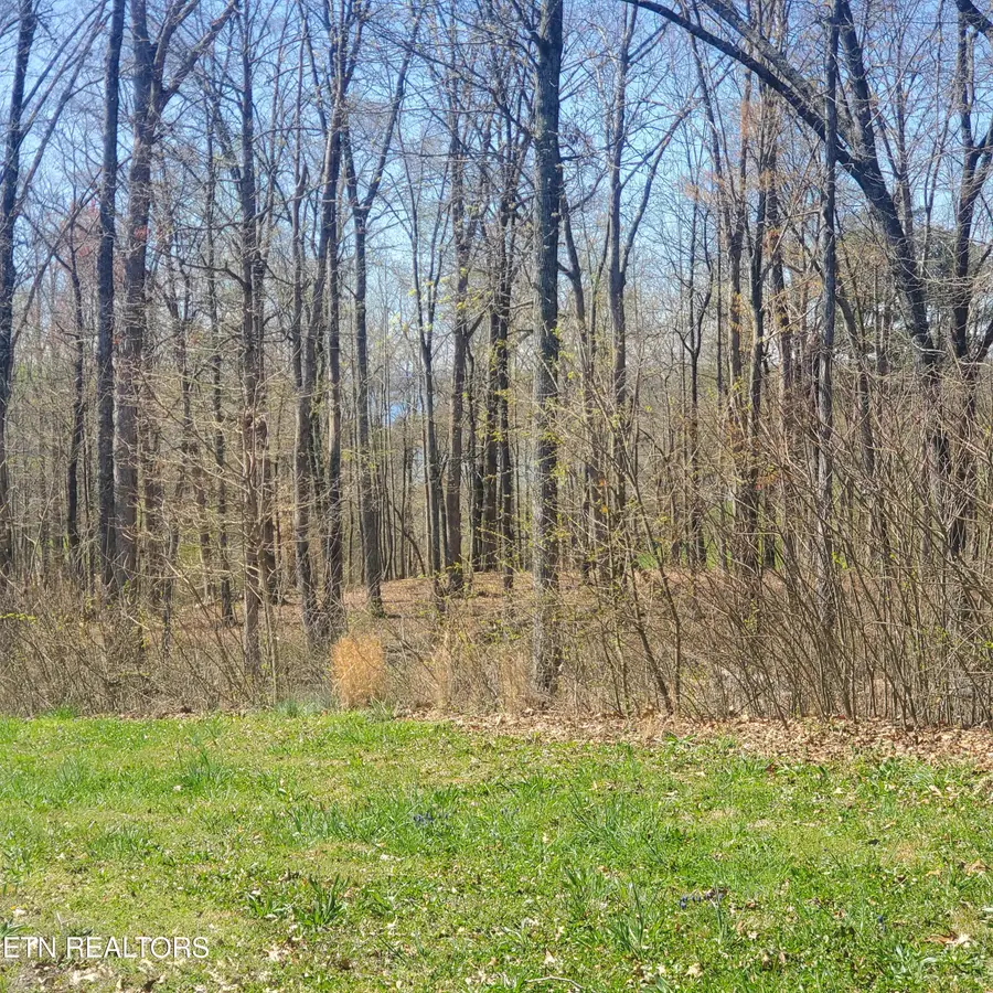 Lot 136 Tumbleweed Tr, Rutledge, TN 37861 - #3