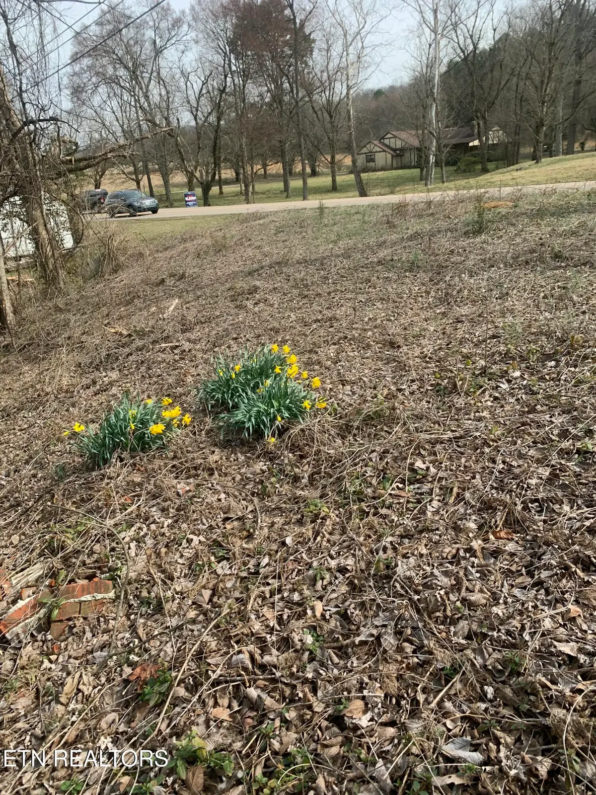 2711 Cunningham Rd, Knoxville, TN 37918 - #1