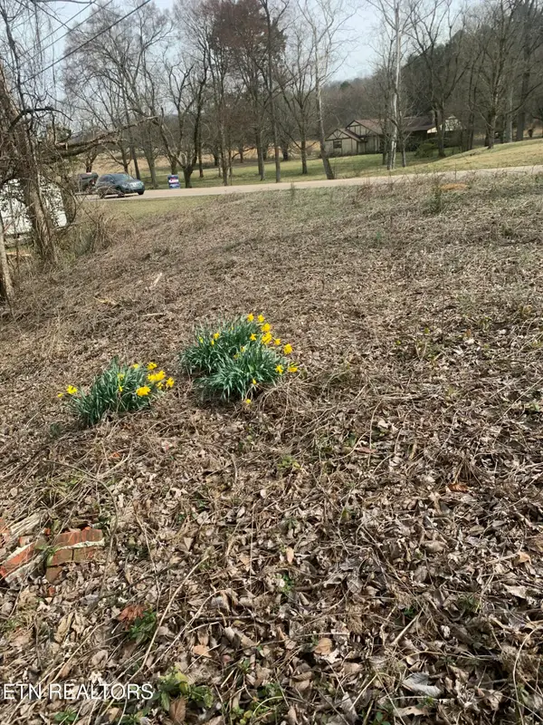 2711 Cunningham Rd, Knoxville, TN 37918