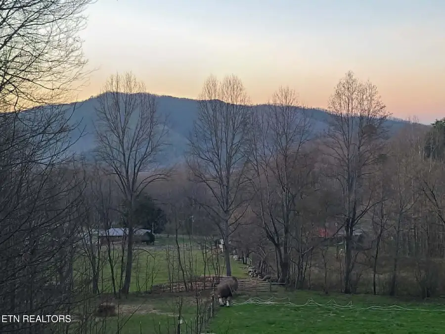 994 Emilyville Way, Cosby, TN 37722 - #2