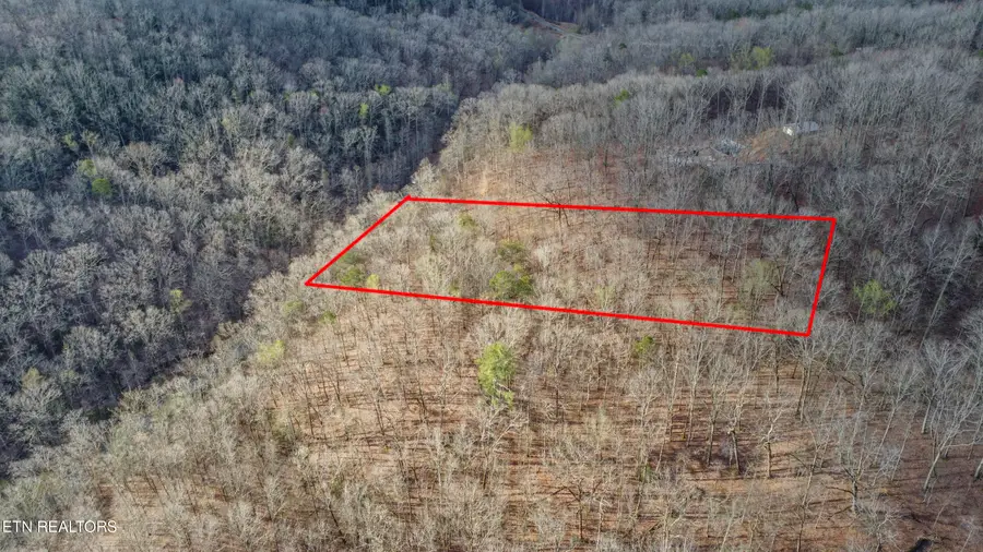 Lot 434 Hidden Oaks Rd, Rockwood, TN 37854 - #3