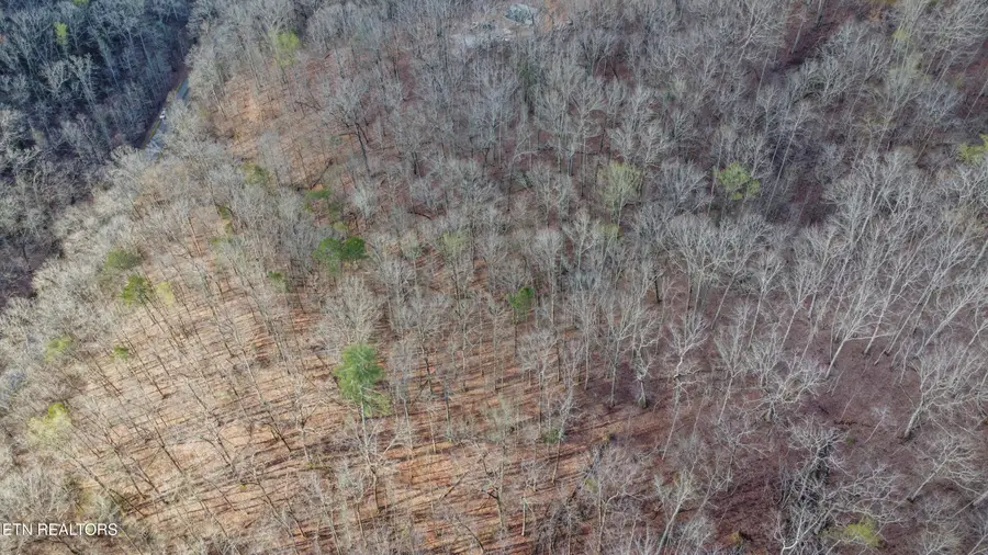 Lot 435 Hidden Oaks Rd, Rockwood, TN 37854 - #2