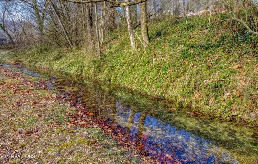 415 N Ridge Ave, Rockwood, TN 37854 - #3