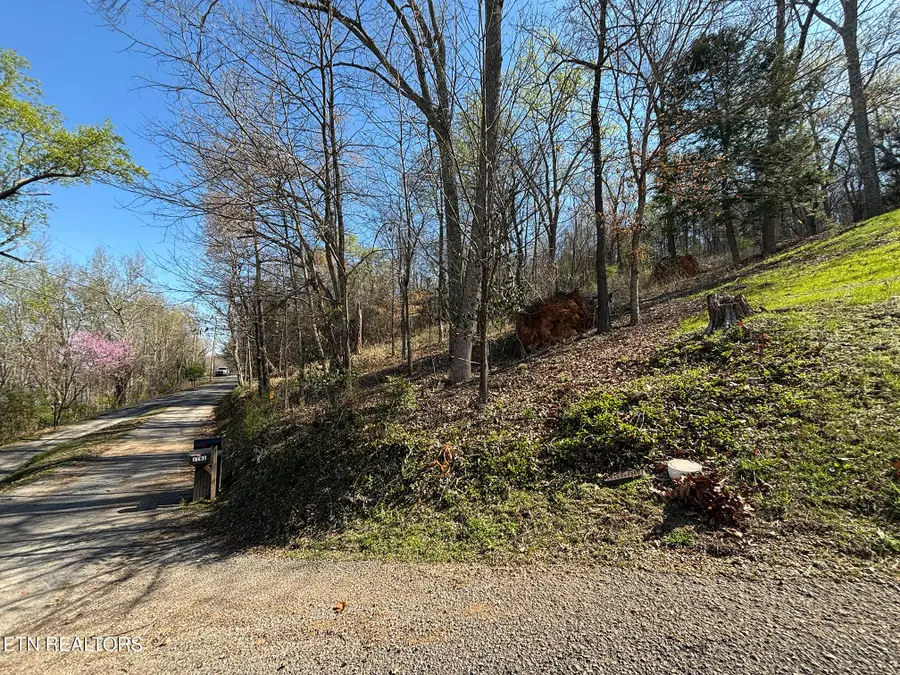 Lot 38 Johnson Lane, Ten Mile, TN 37880 - #3