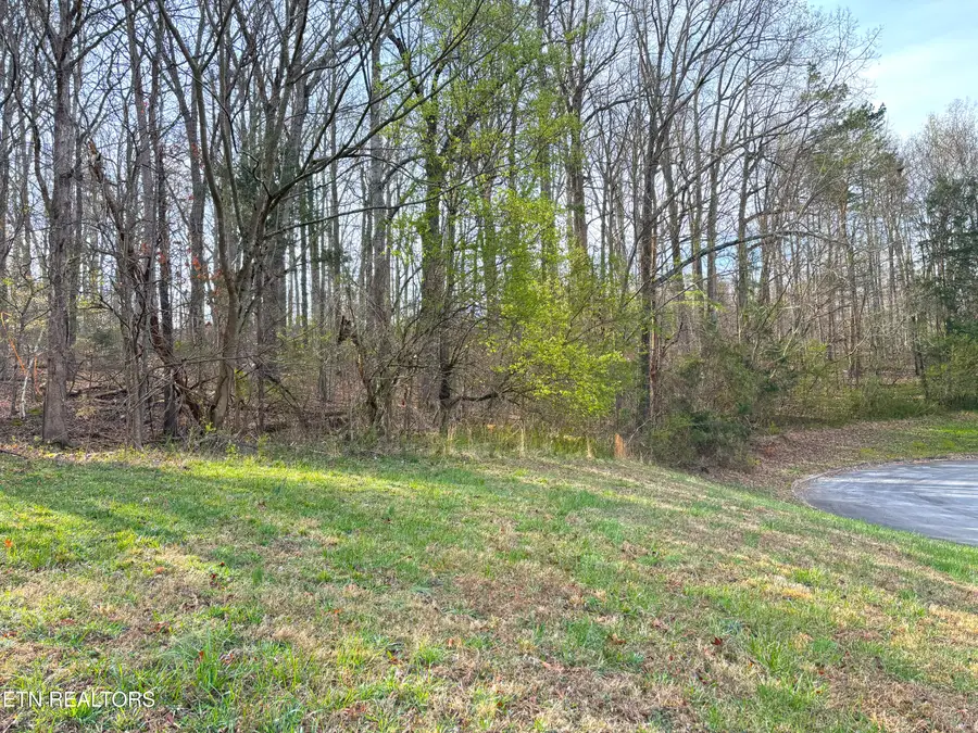 765 Wood Duck Drive, Vonore, TN 37885 - #3