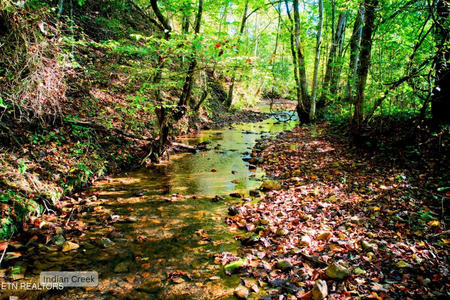 6 Upper Rinehart Rd, Dandridge, TN 37725 - #3