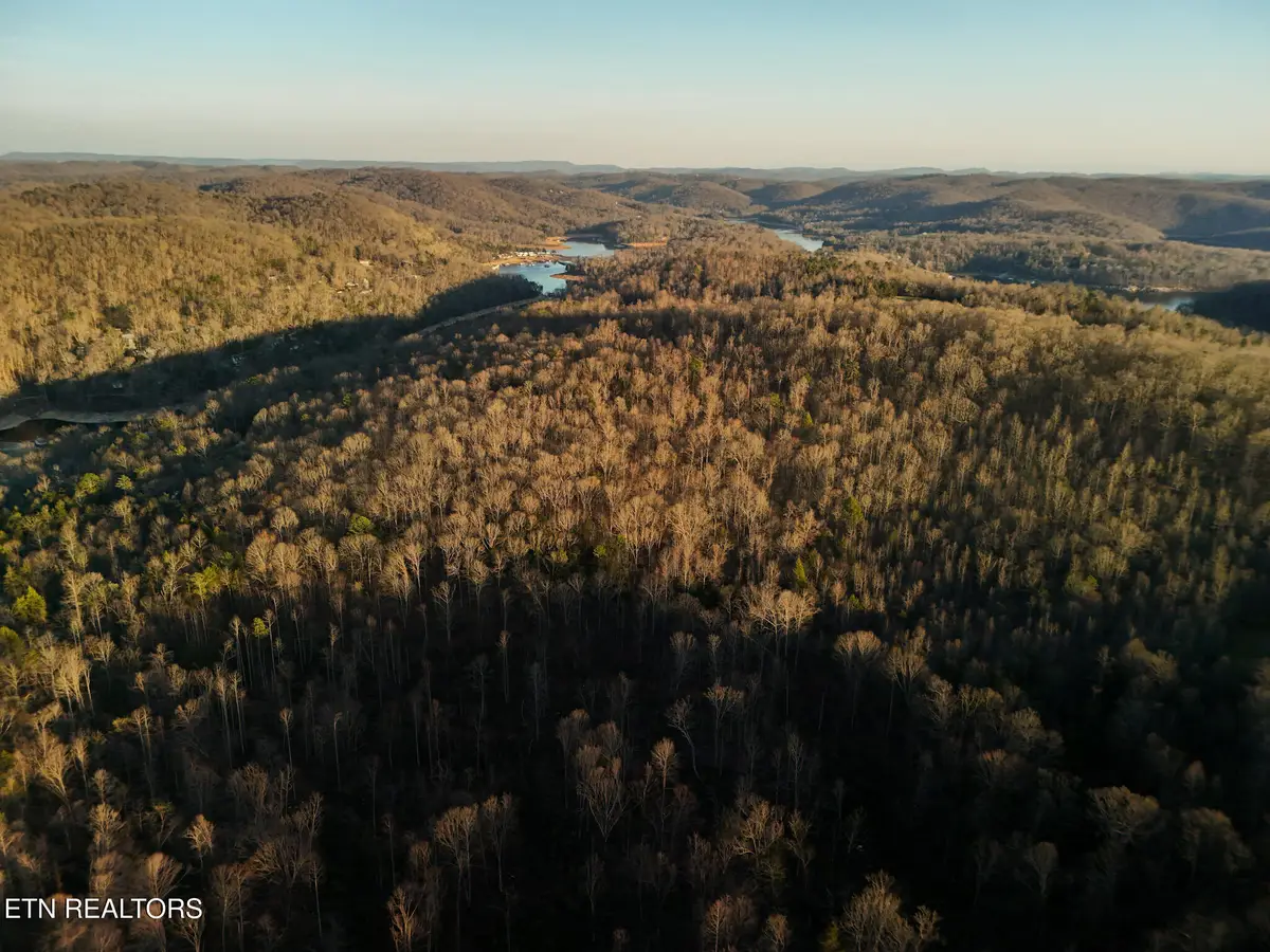 110 Braden Chapel Rd, Speedwell, TN 37870 - #1