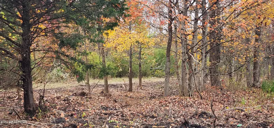 Edward Smith Rd, Robbins, TN 37852 - #2