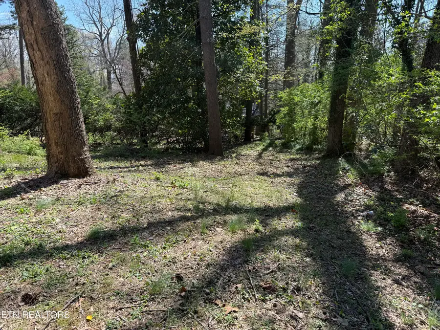 313 W Outer Drive, Oak Ridge, TN 37830 - #2