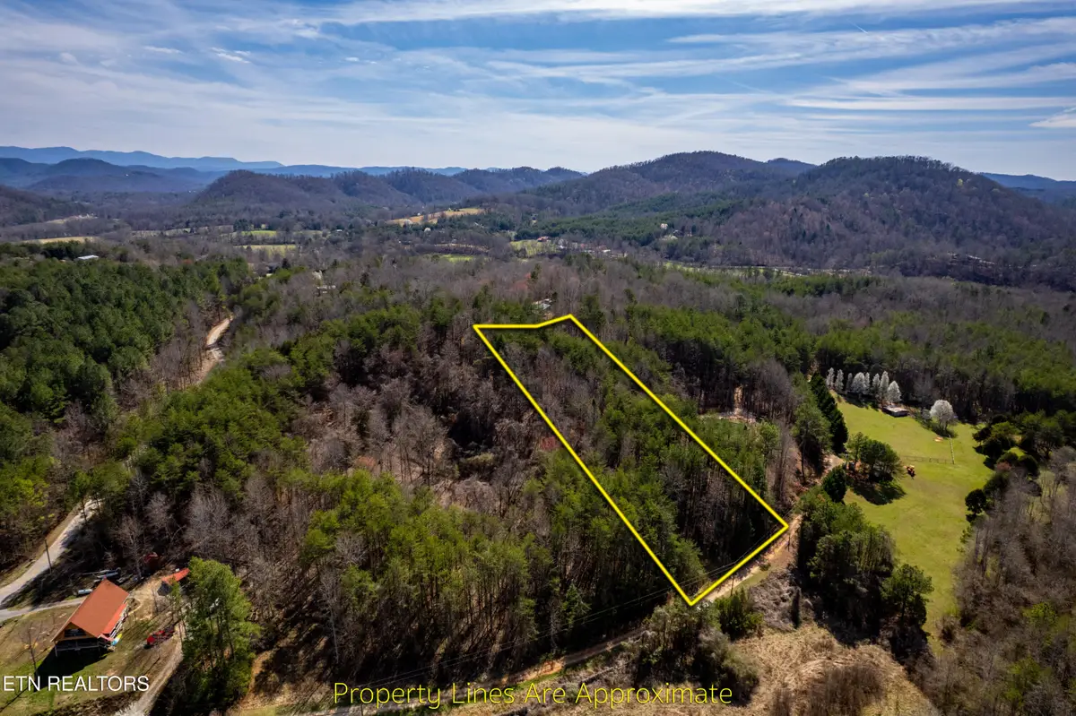 Welch Road Lot 4a, Tellico Plains, TN 37385 - #1
