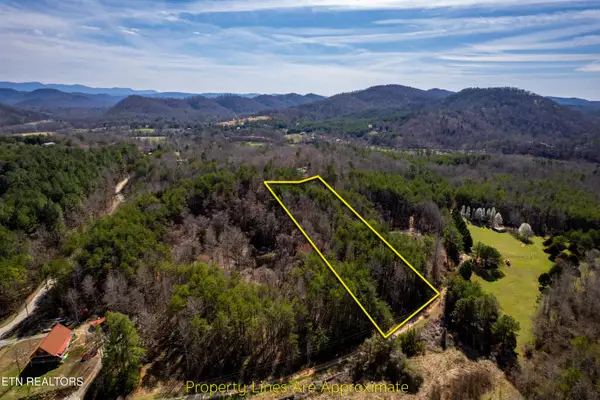 Welch Road Lot 4a, Tellico Plains, TN 37385