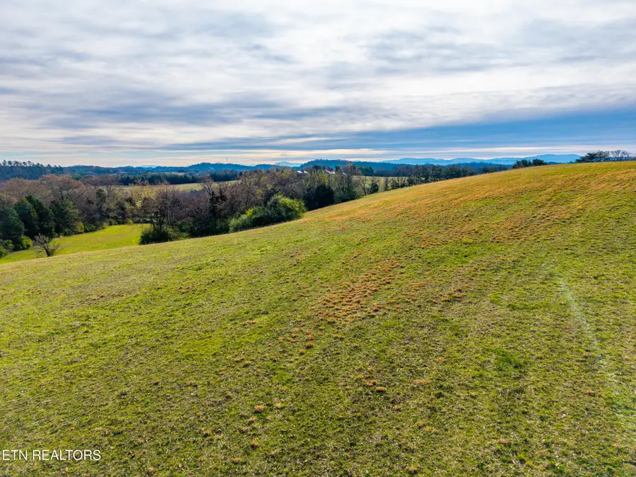 Unitia Rd, Friendsville, TN 37737 - #3