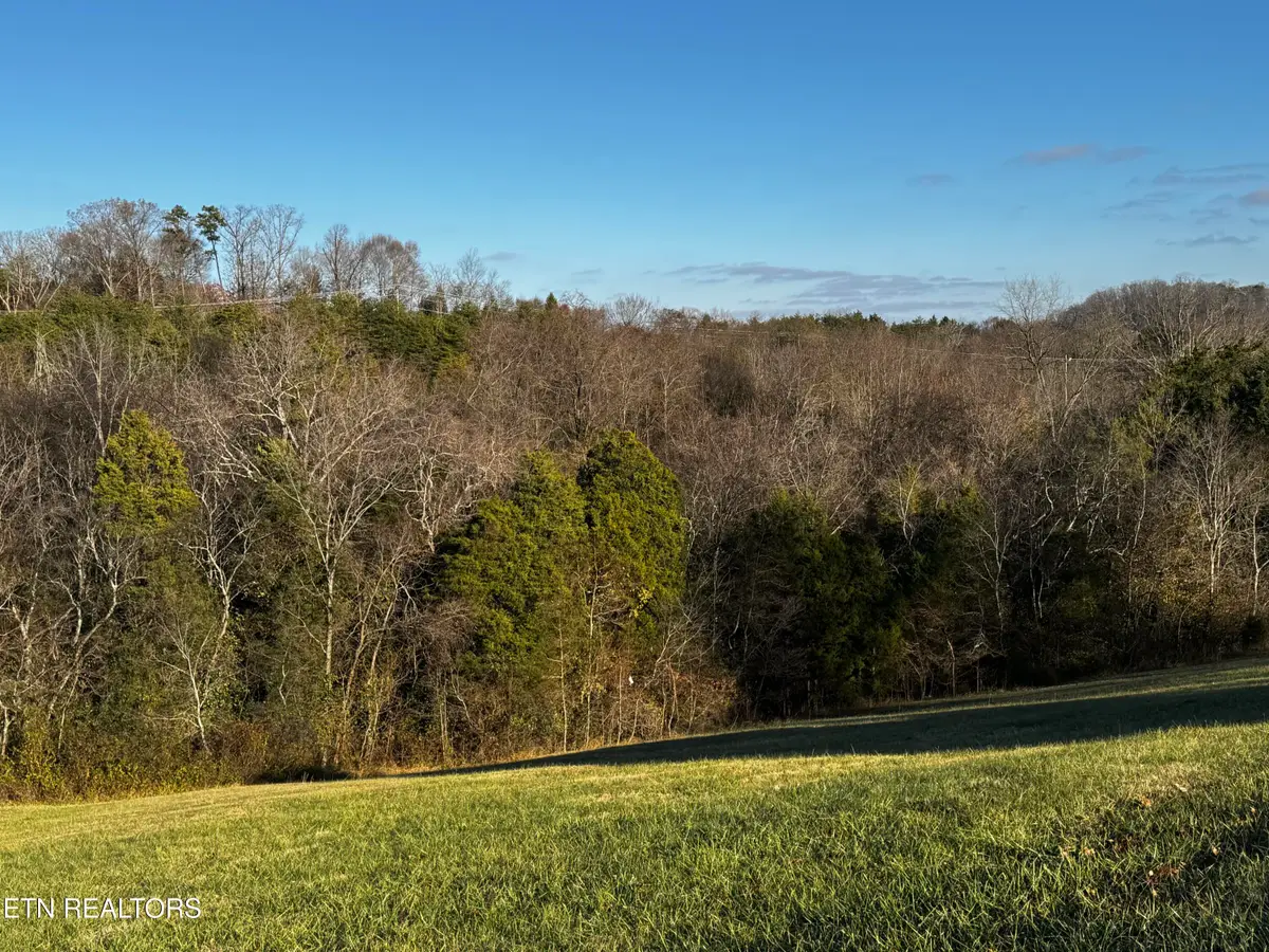 Constitution Drive #LOT 4, Jefferson City, TN 37760 - #1