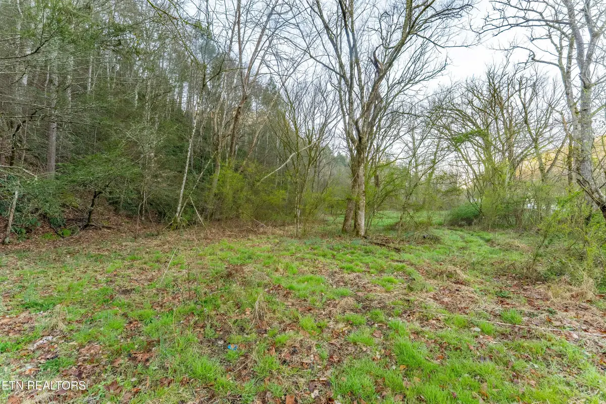 Bogard Rd, Cosby, TN 37722 - #1