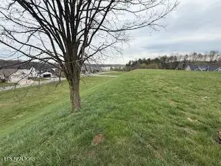 126 Cape Lookout Lgt, Loudon, TN 37774 - #3