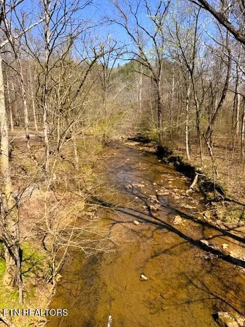 7.68AC Ellis Creek Rd, Reliance, TN 37369 - #2