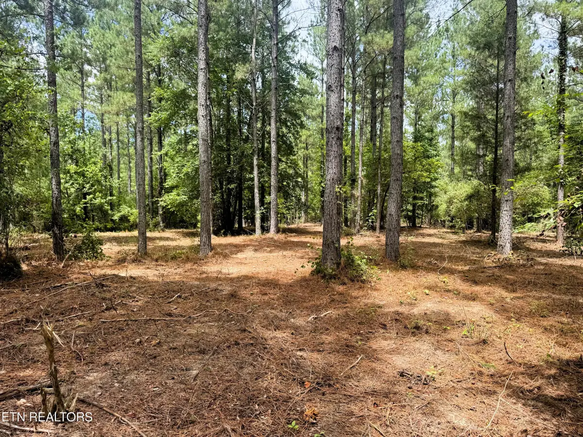 2E-7 Charles Rd, Decatur, TN 37322 - #1