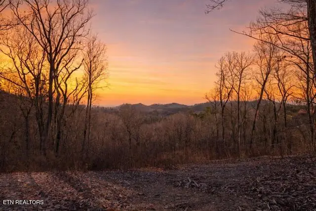 Lot 51 Cloud View Drive, Sevierville, TN 37862 - #1