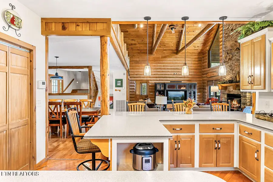 206 Cobblestone Way, Townsend, TN 37882 - #3