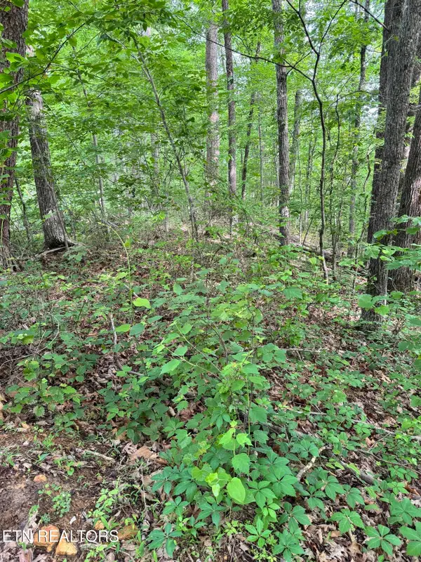 Prettiest Sunset Way #Lot 5, Seymour, TN 37865