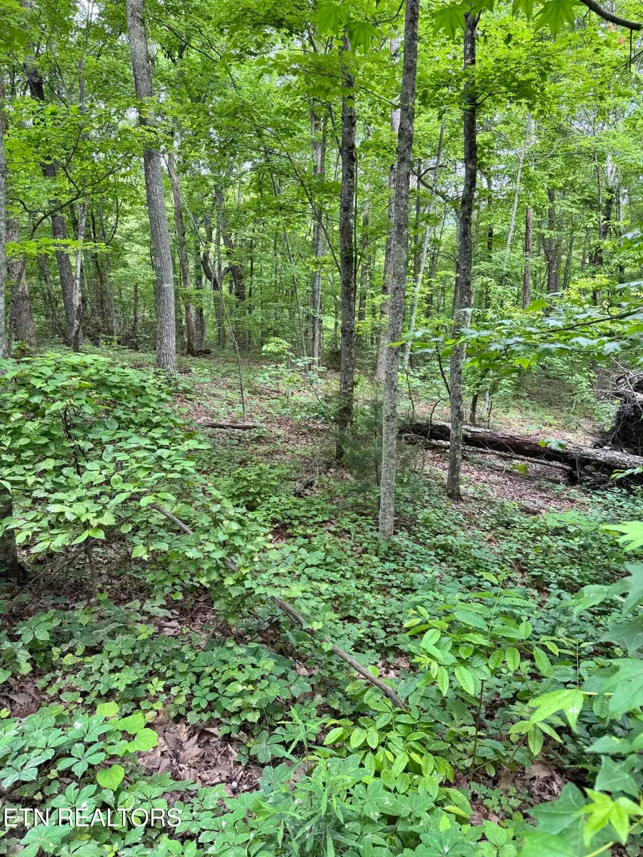 Prettiest Sunset Way #Lot 3, Seymour, TN 37865 - #2