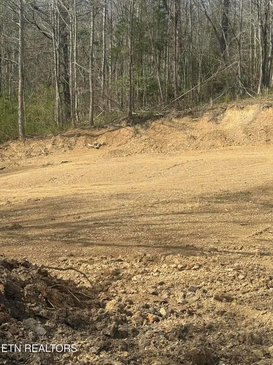 125 Reynolds Rd, Oakdale, TN 37829 - #2