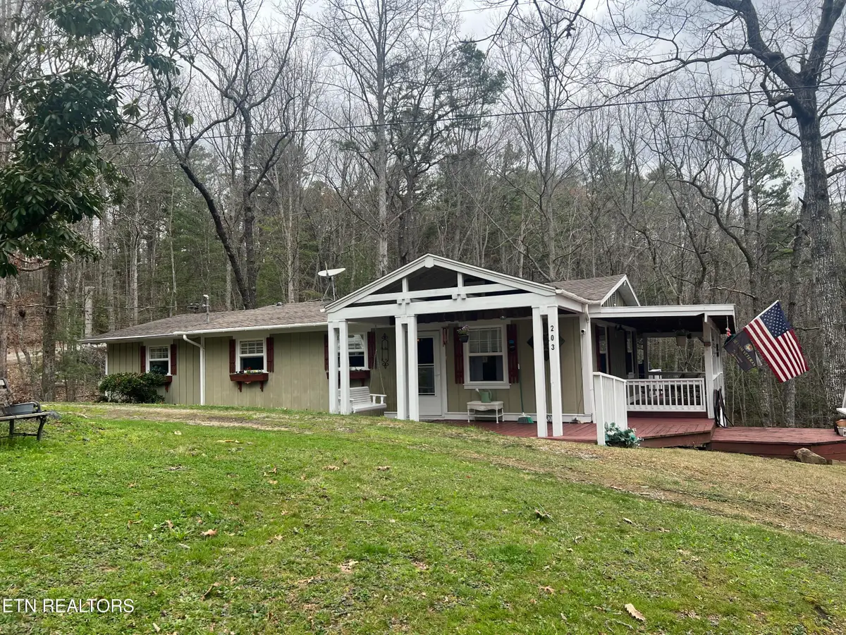 203 Tall Pine Circle, Tellico Plains, TN 37385 - #1