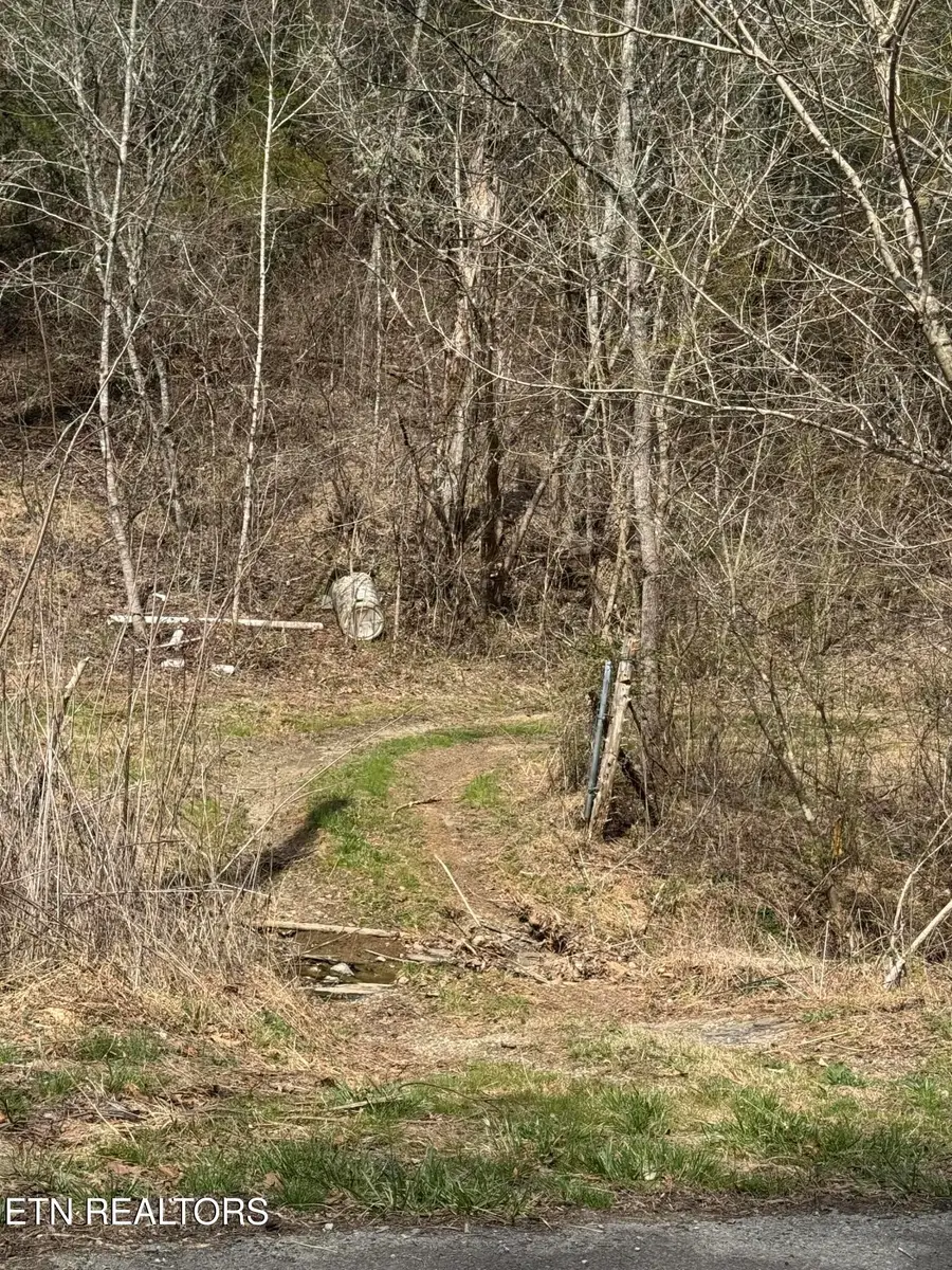 Bear Creek Rd, Bybee, TN 37713 - #2