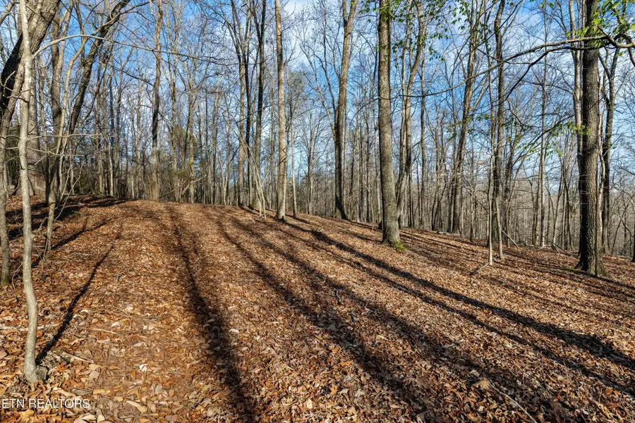 150 Clear Branch Rd N, Loudon, TN 37774 - #3