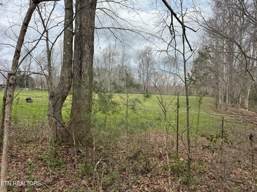 Honey Creek Loop Rd, Allardt, TN 38504 - #2