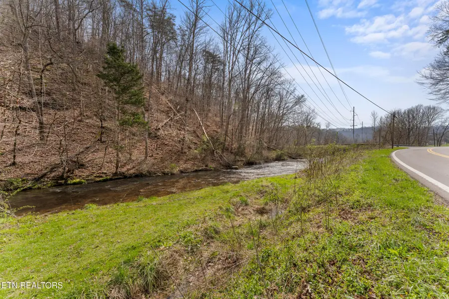 Ailor Gap Rd, Maynardville, TN 37807 - #3