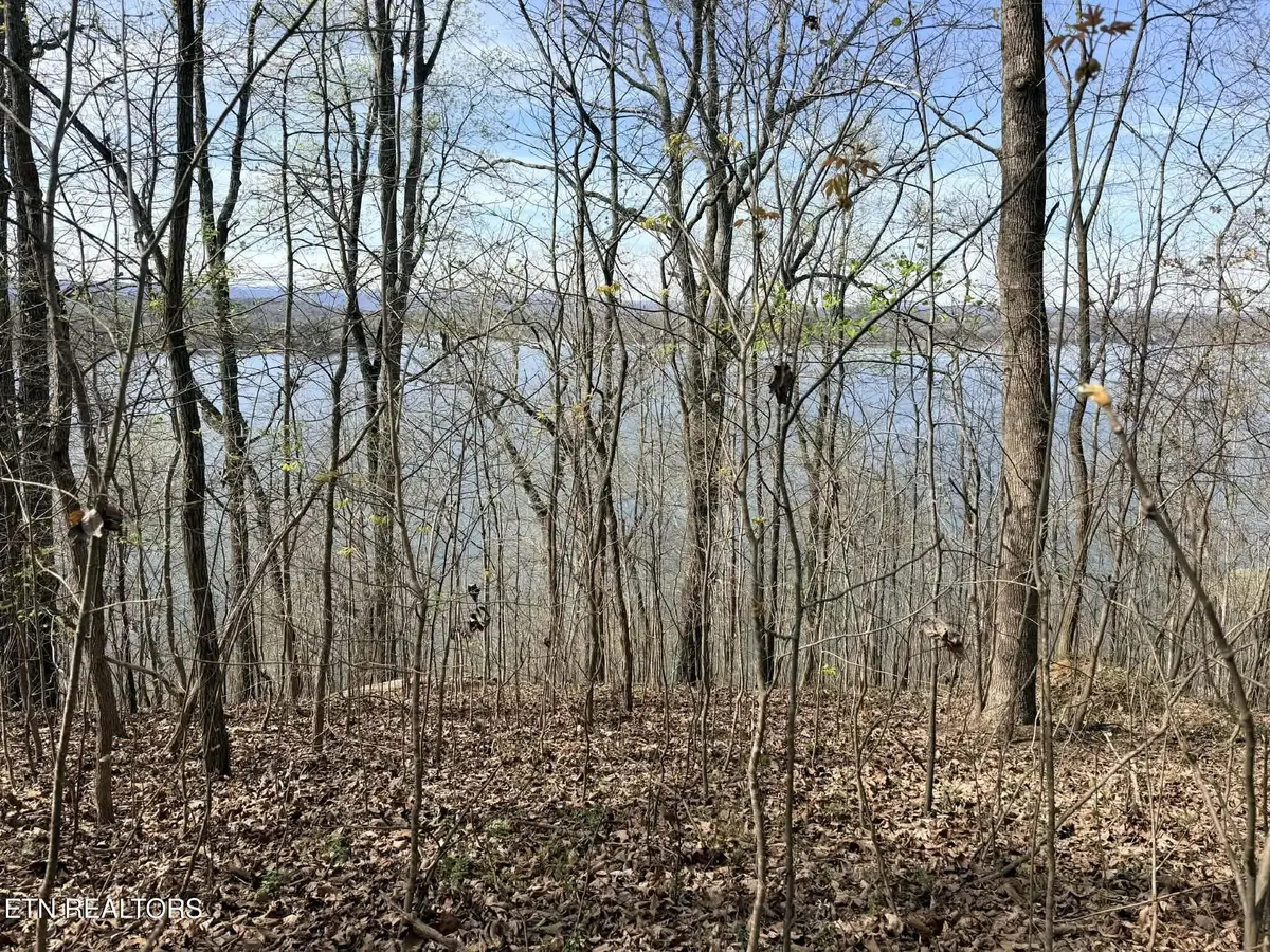 Lot 7 Johnson Lane, Ten Mile, TN 37880 - #1