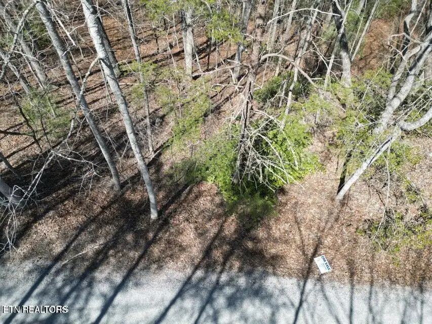 607 St George Drive, Crossville, TN 38558 - #2