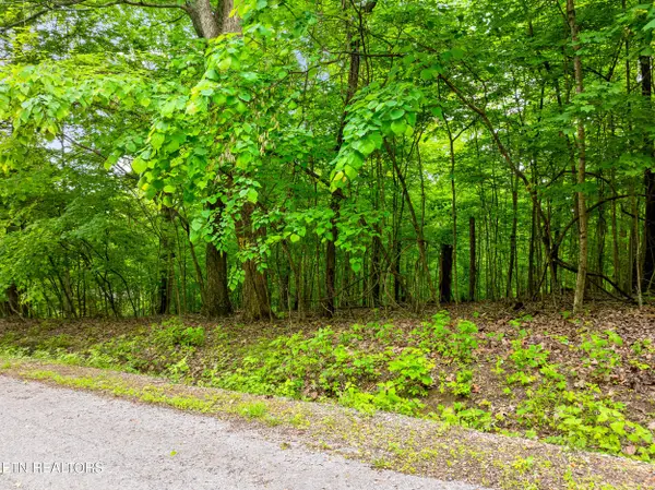 Running Deer Tr, Caryville, TN 37714