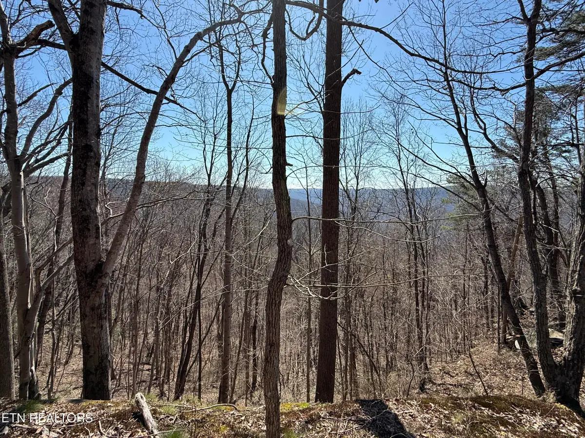 Cumberland Cove Rd, Monterey, TN 38574 - #1