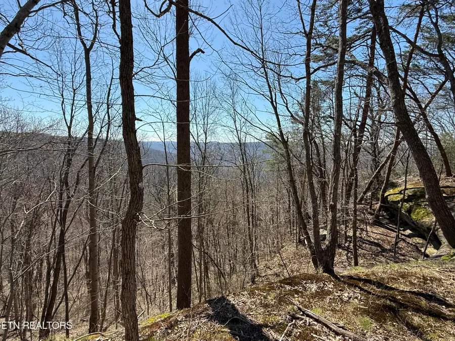 Cumberland Cove Rd, Monterey, TN 38574 - #2