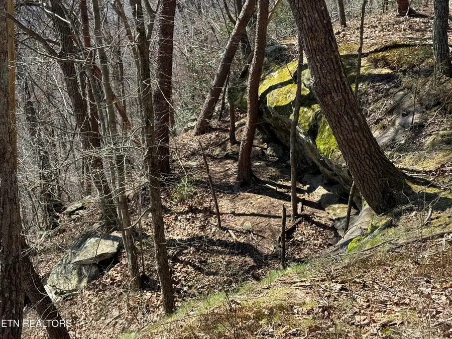 Cumberland Cove Rd, Monterey, TN 38574 - #3