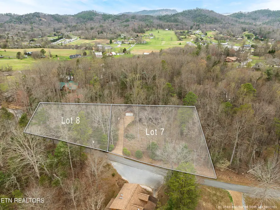 3840 Saddle Brook Way, Sevierville, TN 37862 - #2