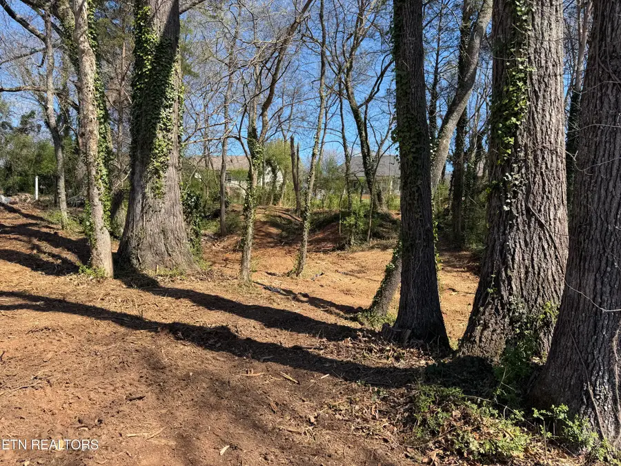 210 Chatuga Way, Loudon, TN 37774 - #3