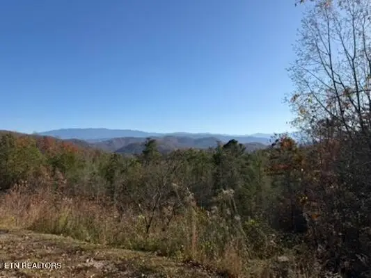 Parcel 053 050.00 Obes Branch Rd, Sevierville, TN 37876