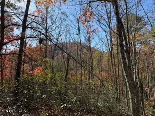 Parcel 053 050.00 Obes Branch Rd, Sevierville, TN 37876 - #2