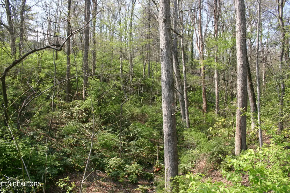 Lot 12 Vanhorn Rd, Knoxville, TN 37918 - #1