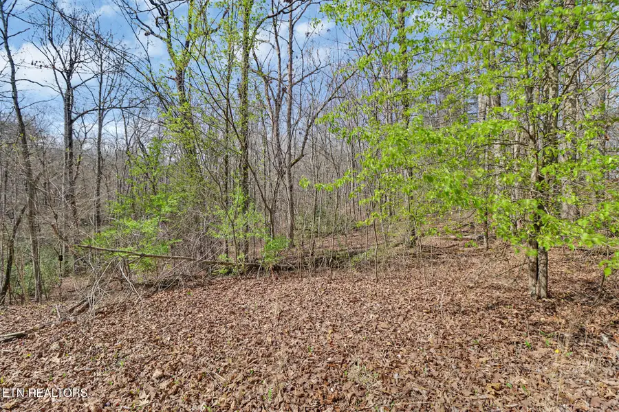 Thompson Rd, Crossville, TN 38571 - #2