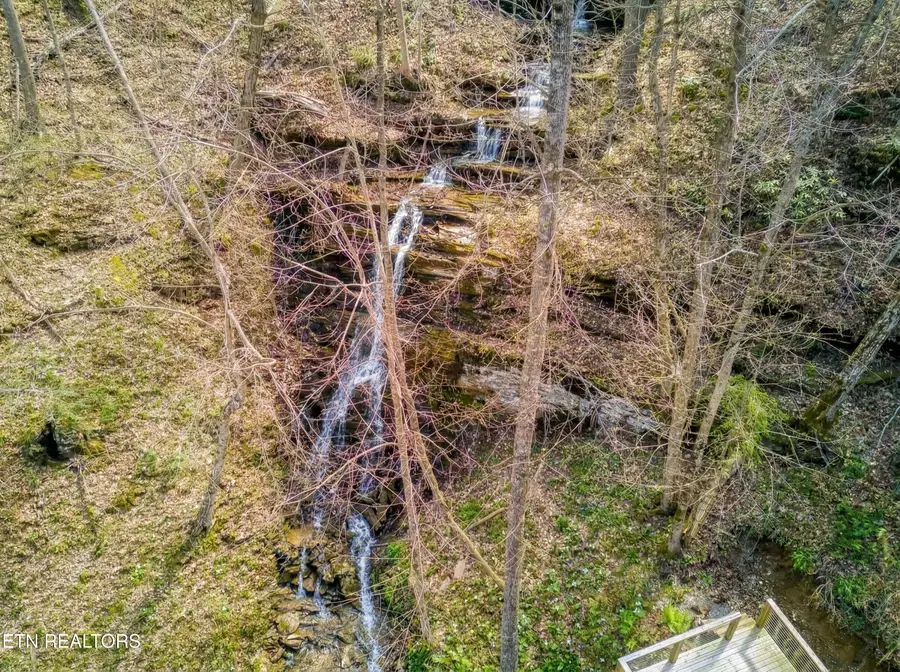 3119 Mitzi Way, Sevierville, TN 37862 - #3