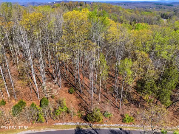 Lot 141 E Shore Drive, Rockwood, TN 37854