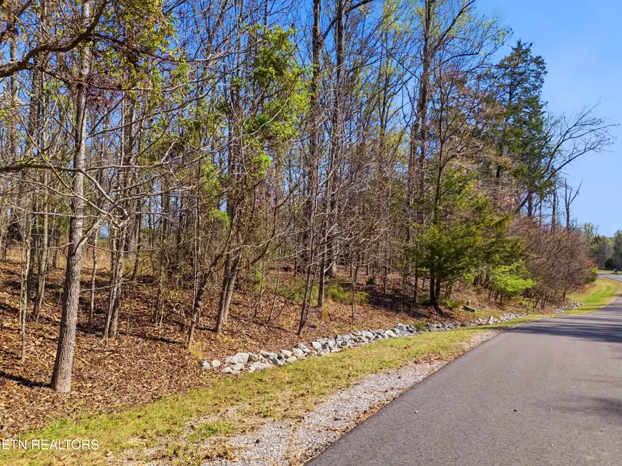 Lot 141 E Shore Drive, Rockwood, TN 37854 - #2