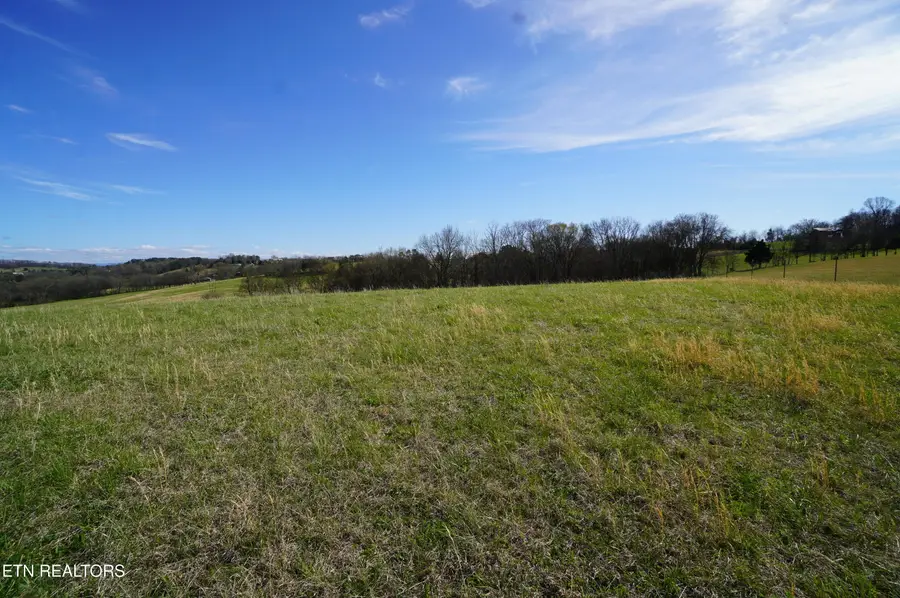 Pt of 044 Redwing Lane, New Market, TN 37820 - #2