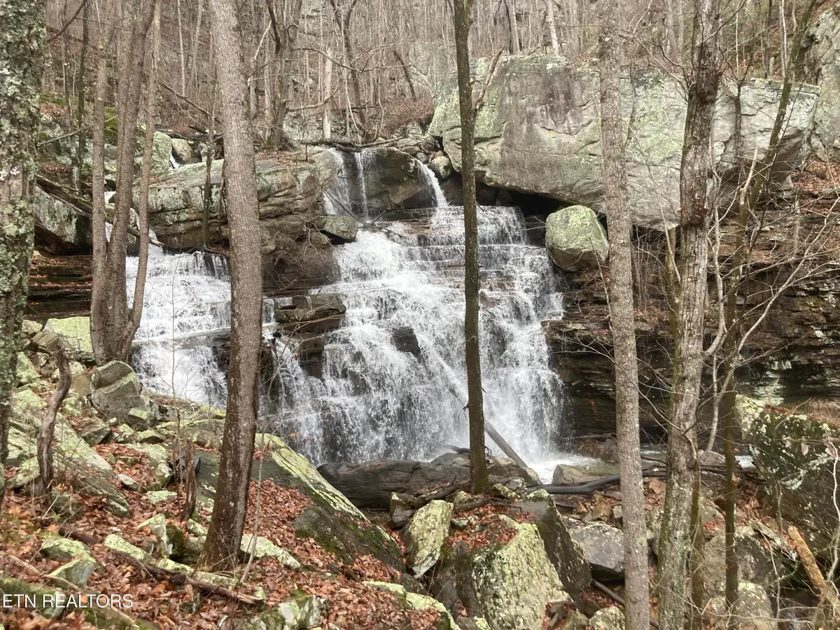 Old Spencer Road - 100 Acres, Pikeville, TN 37367 - #1