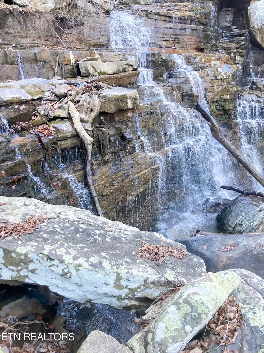 Old Spencer Road - 100 Acres, Pikeville, TN 37367 - #2