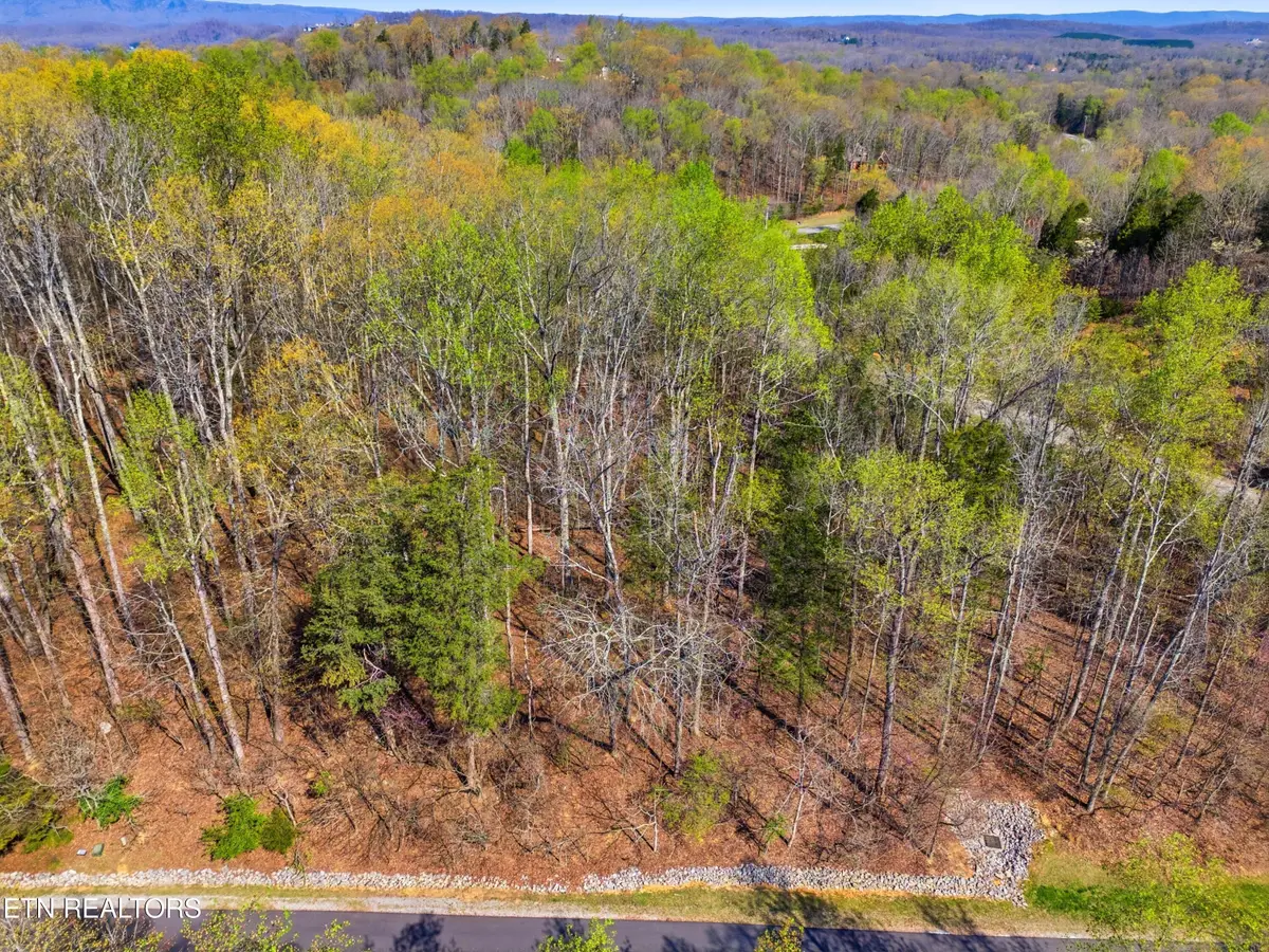 Lot 142 E Shore Drive, Rockwood, TN 37854 - #1